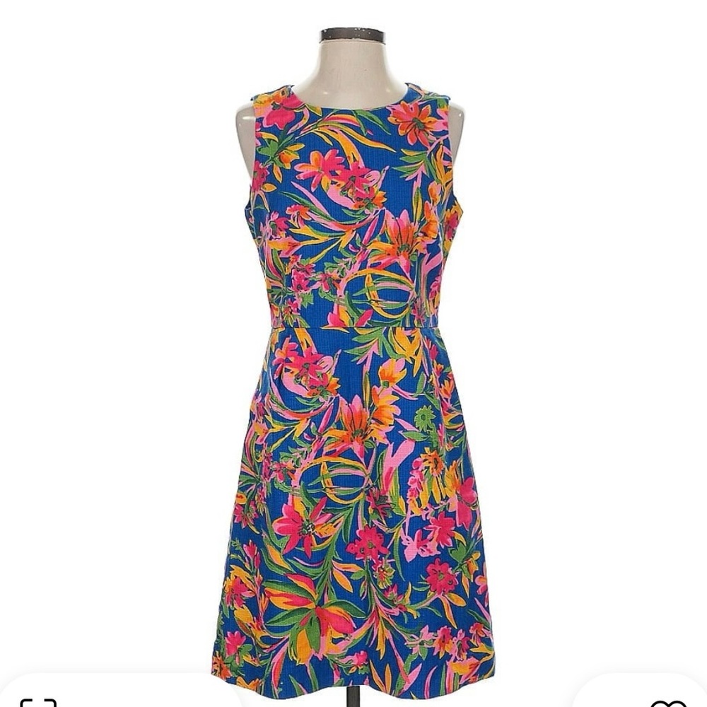 JCREW Floral Sleeveless Dress - Blue and Pink